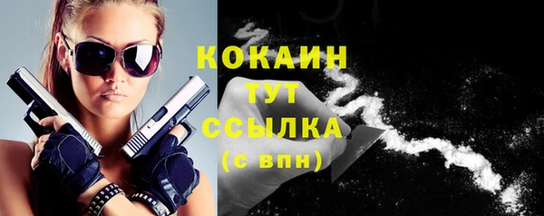 дурь Ладушкин