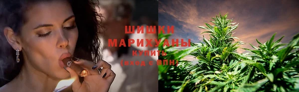 дурь Ладушкин