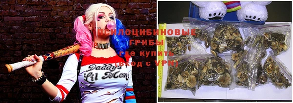 дурь Ладушкин