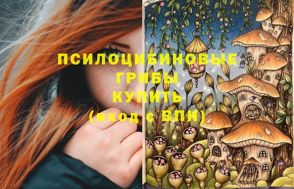 дурь Ладушкин