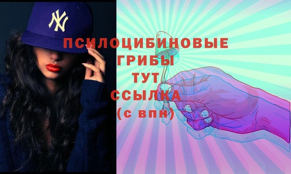 гидра Великий Новгород