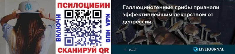 Купить где  Рузаевка  Галлюциногенные грибы мухоморы 