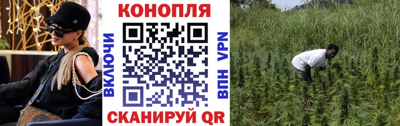 Купить где  Рузаевка  Каннабис MAZAR 